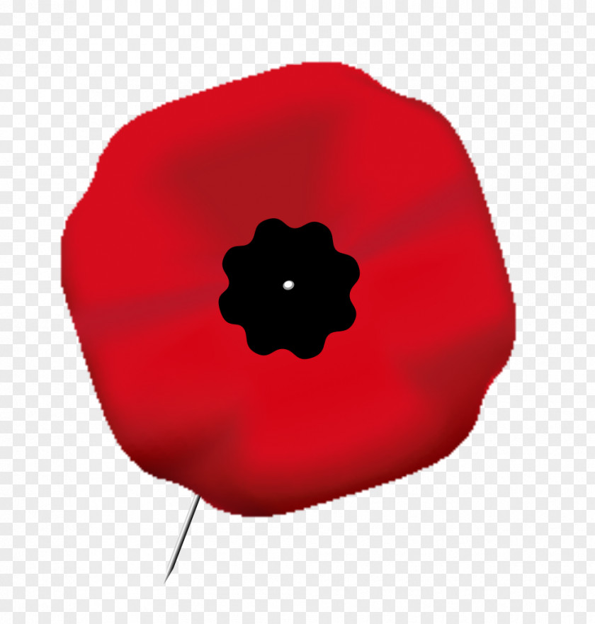 Red Poppy In Flanders Fields Armistice Day Remembrance Clip Art PNG