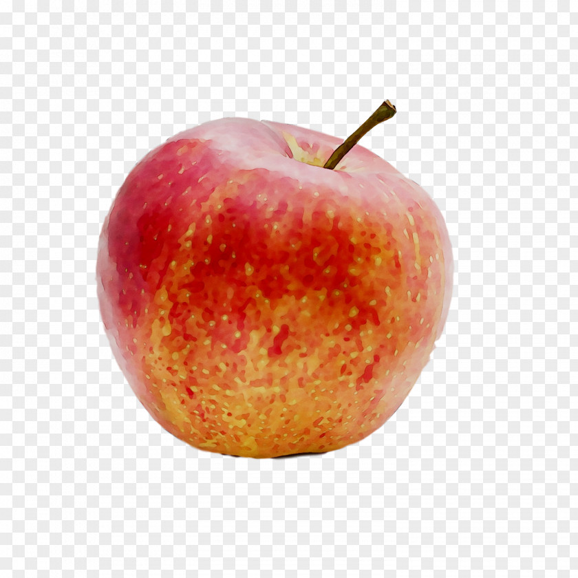 Apples Accessory Fruit Food PNG