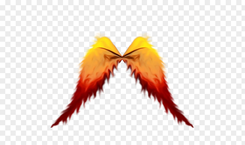 Costume Accessory Fashion Feather PNG