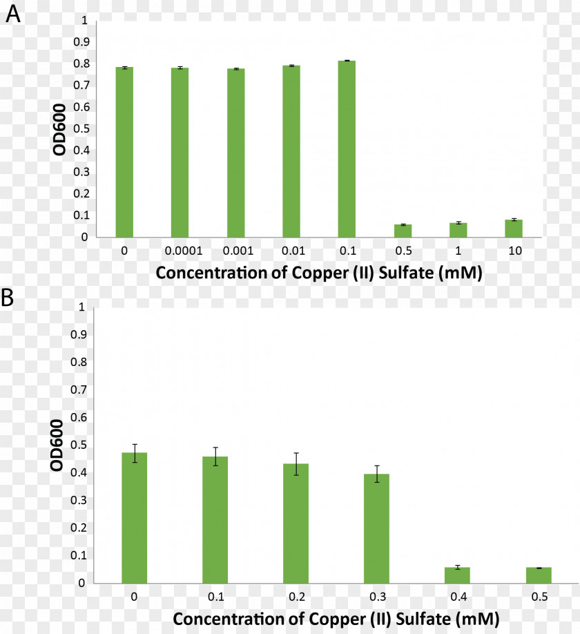 Line Brand Organization Angle PNG