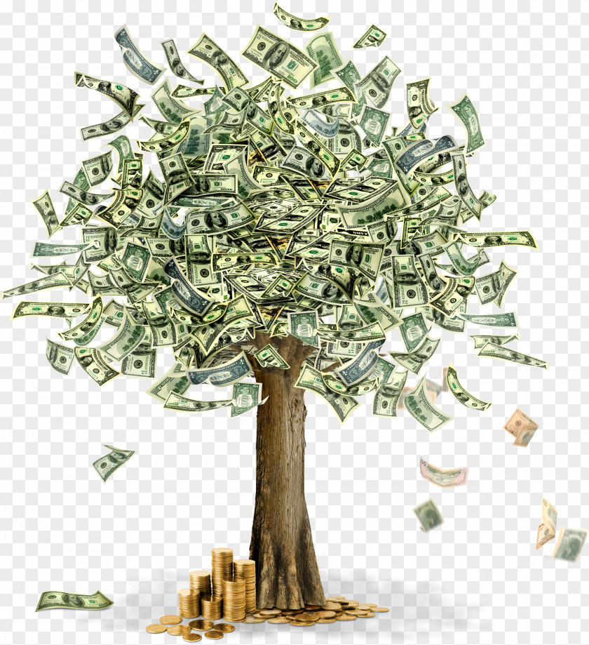 Money Trees Cliparts Coin Finance Clip Art PNG