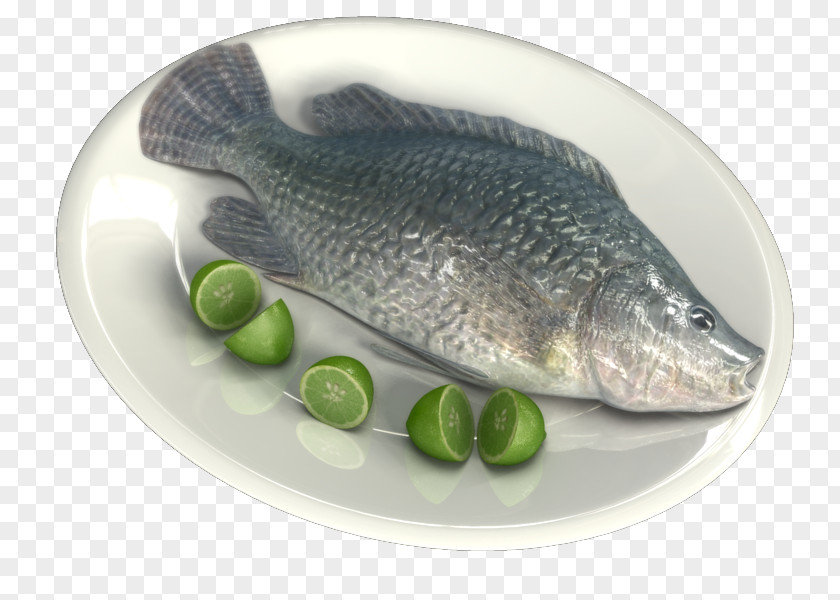 3D Fish Salmon Products 09777 Oily Tilapia PNG