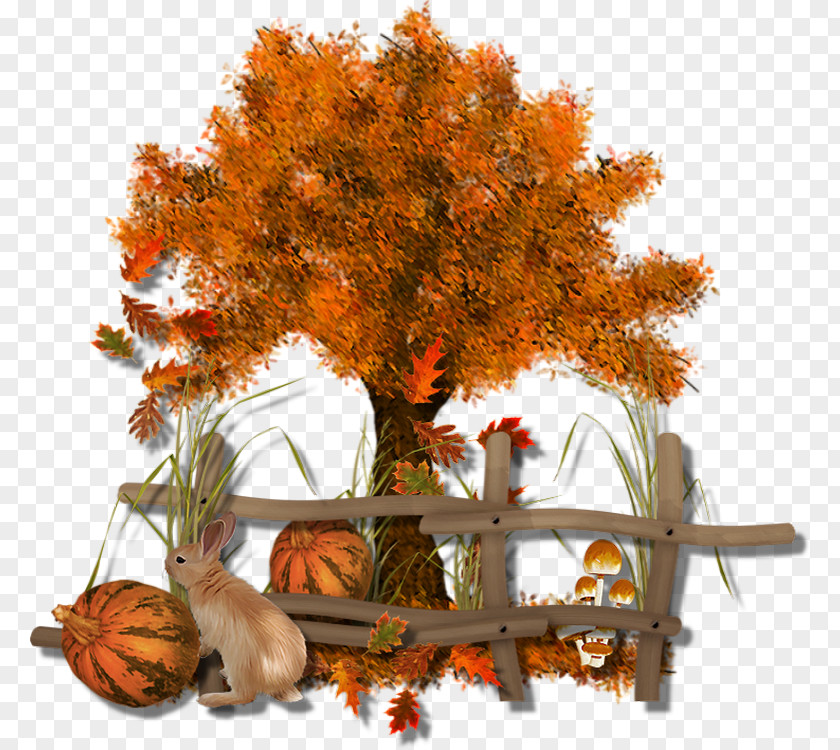 Autumn Leaf Color Tree Clip Art PNG