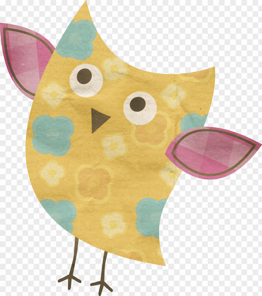 Cute Owl Email Web Page Bird Clip Art PNG