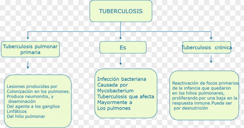 Mycobacterium Tuberculosis Cuadro Sinóptico Malnutrition Antibiotics PNG