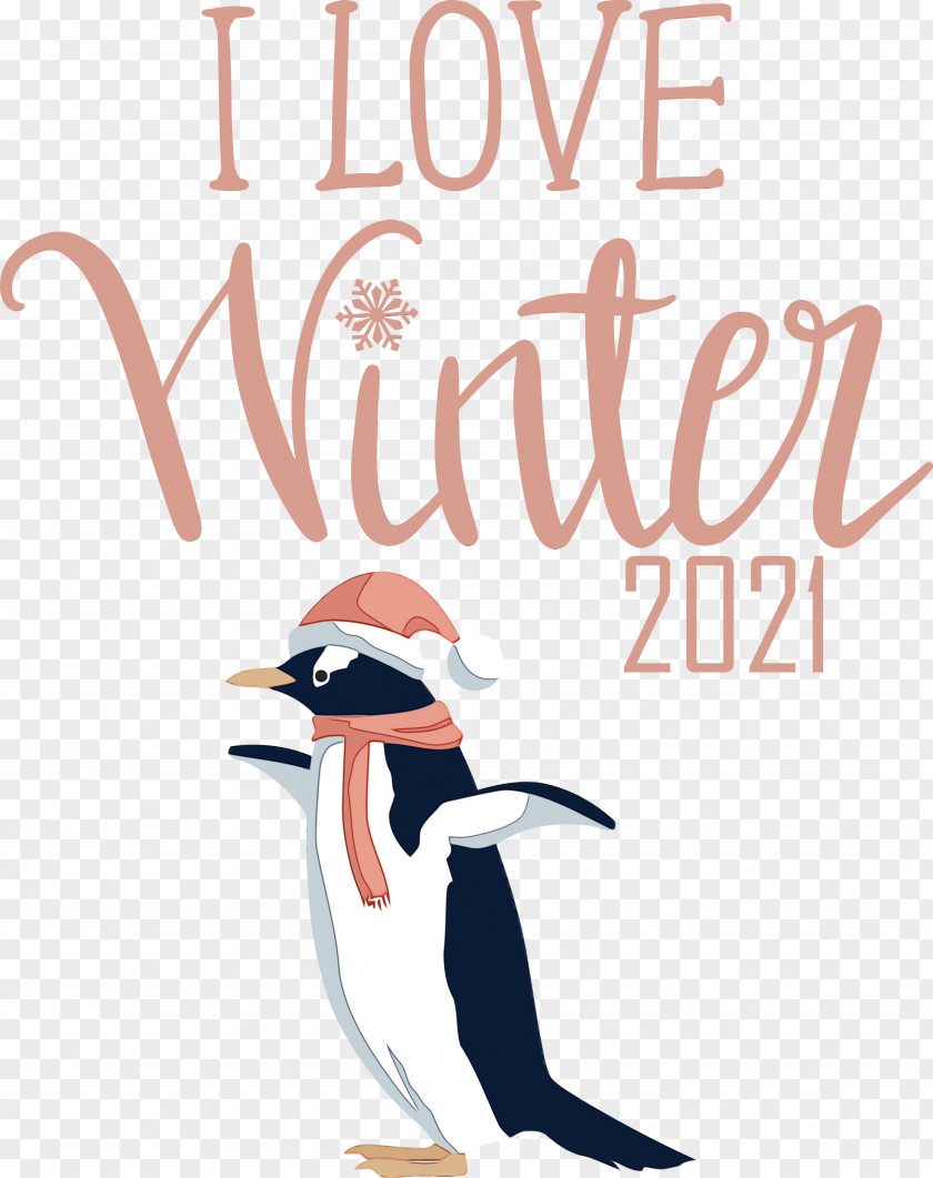 Penguins Birds Flightless Bird Beak Cartoon PNG