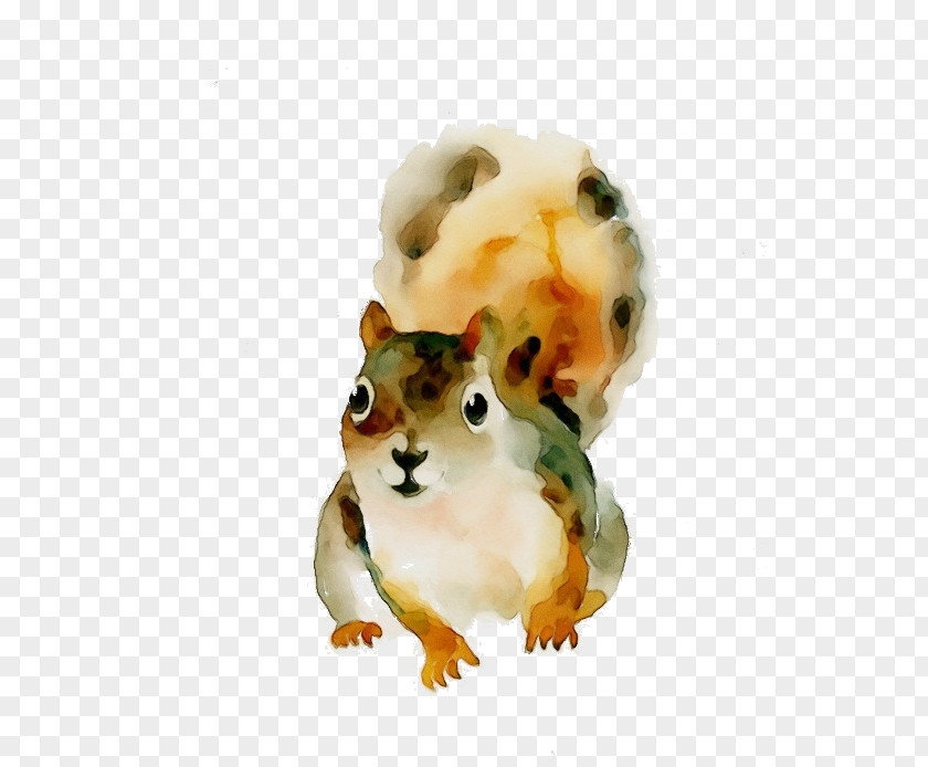 Animal Figure Chipmunk Hamster Background PNG
