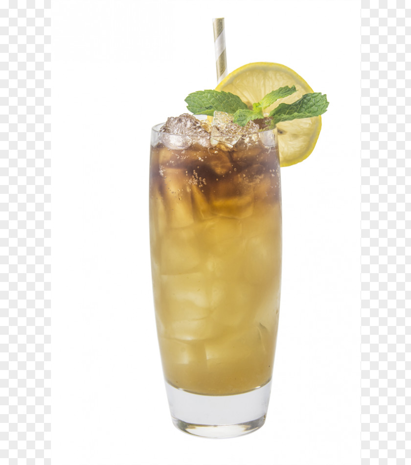 Cocktail Mai Tai Long Island Iced Tea Sea Breeze Mint Julep Dark 'N' Stormy PNG