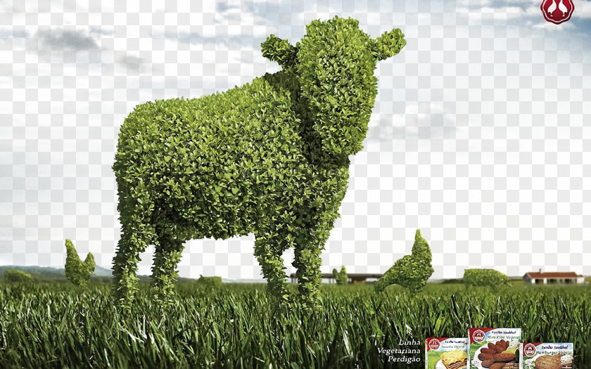 Cow Prairie Grass Background Cattle Creativity Wallpaper PNG