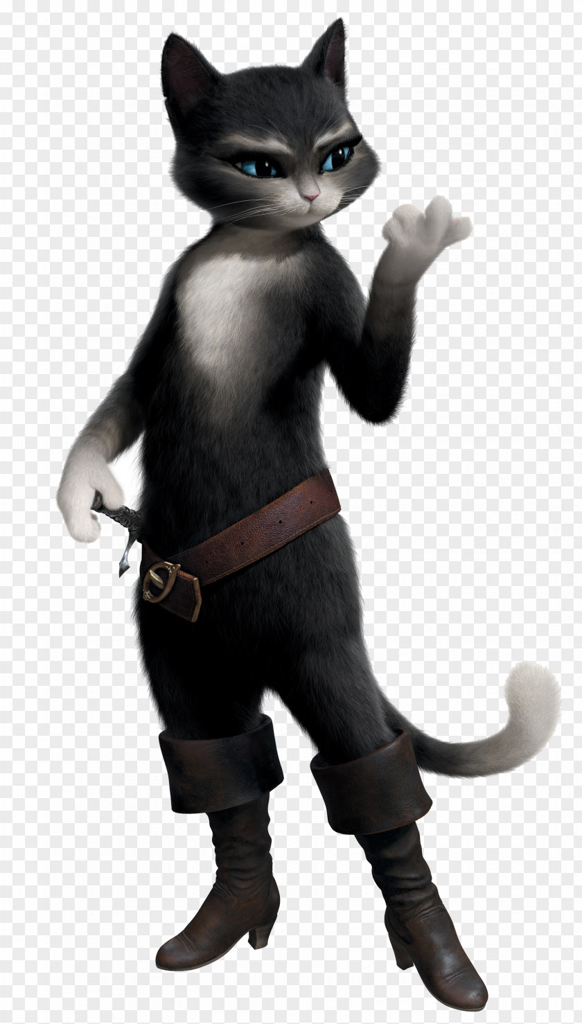 Puss In Boots Photos Donkey Kitty Softpaws Cat Adaptations Of DreamWorks PNG