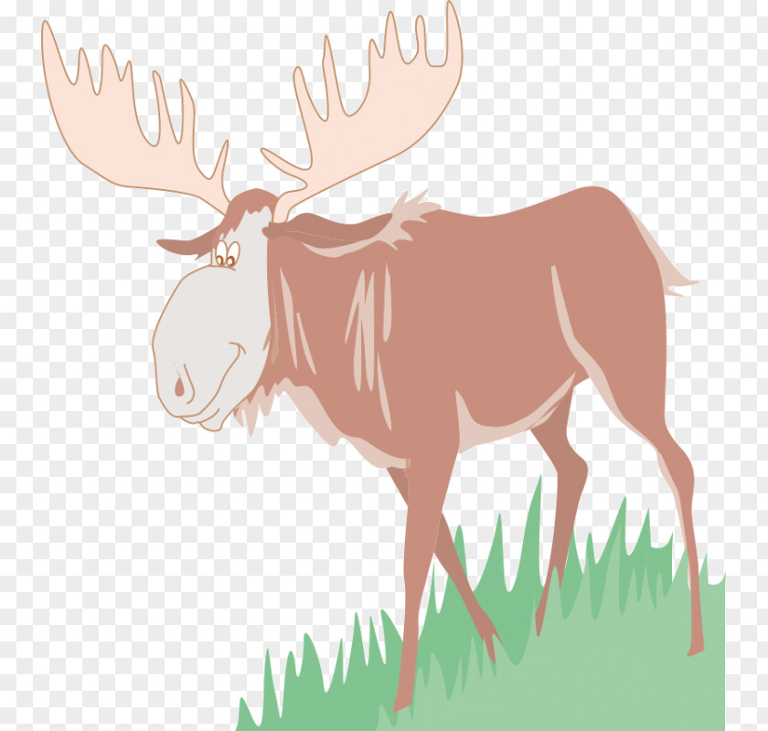 Reindeer Moose Clip Art PNG