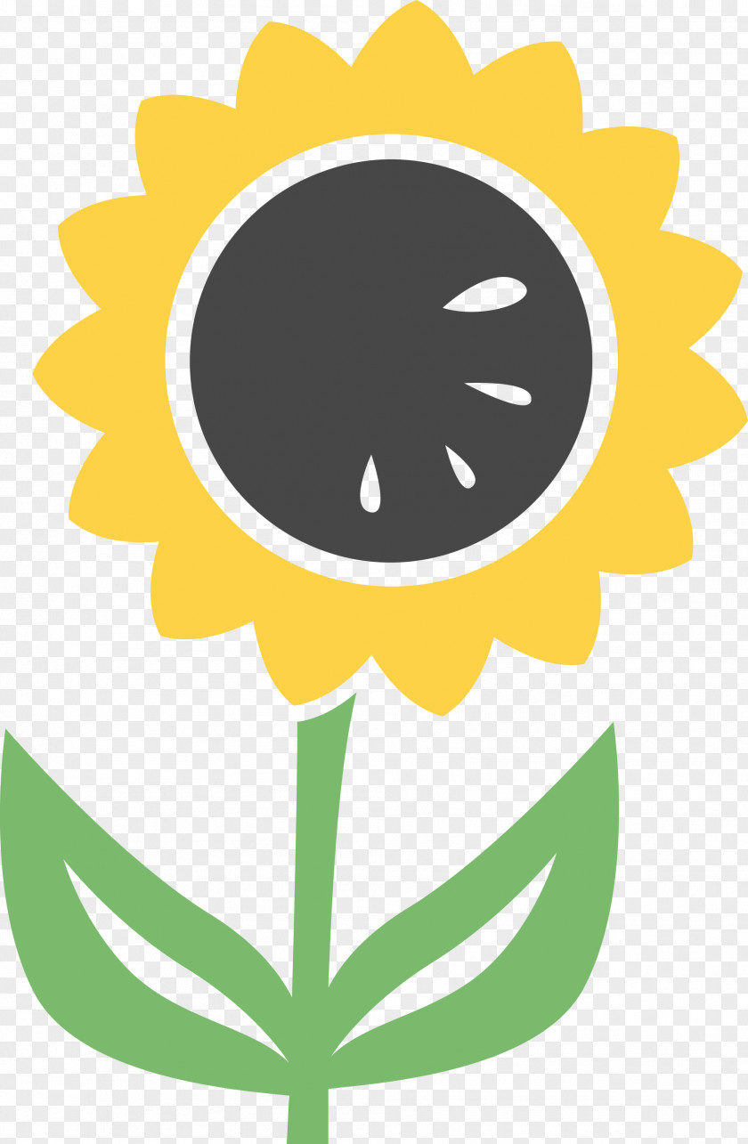 Sunflower Summer PNG