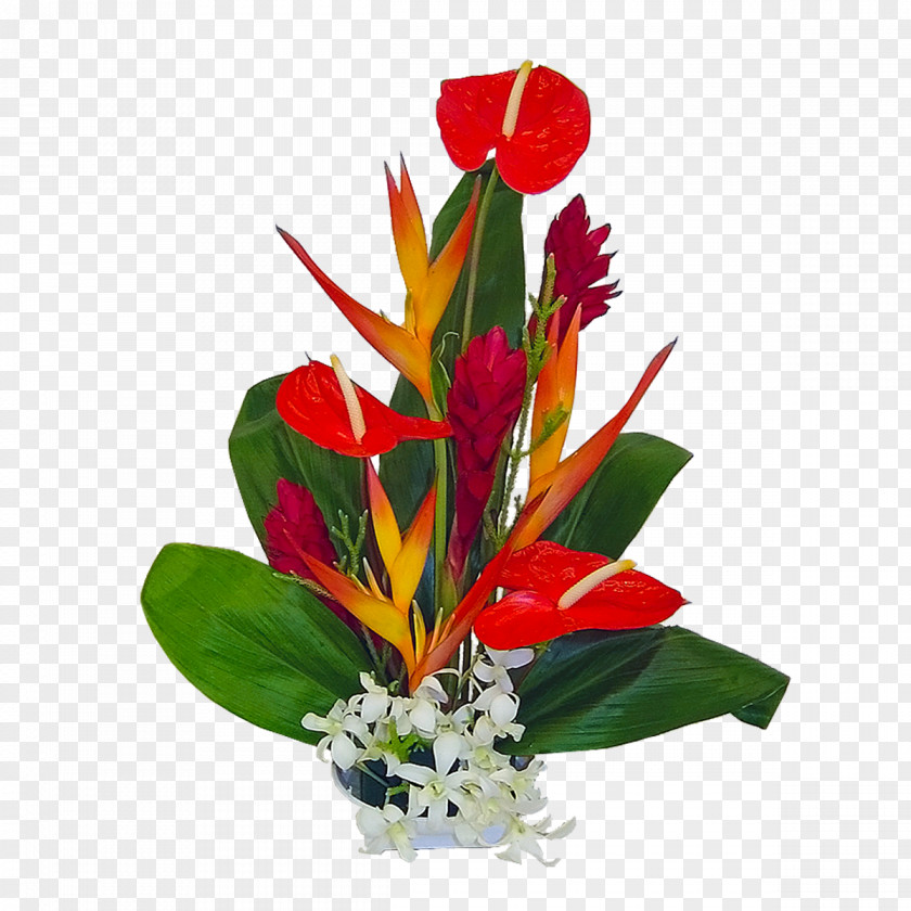 Tropical Flower Hawaii Bouquet Floristry Floral Design PNG