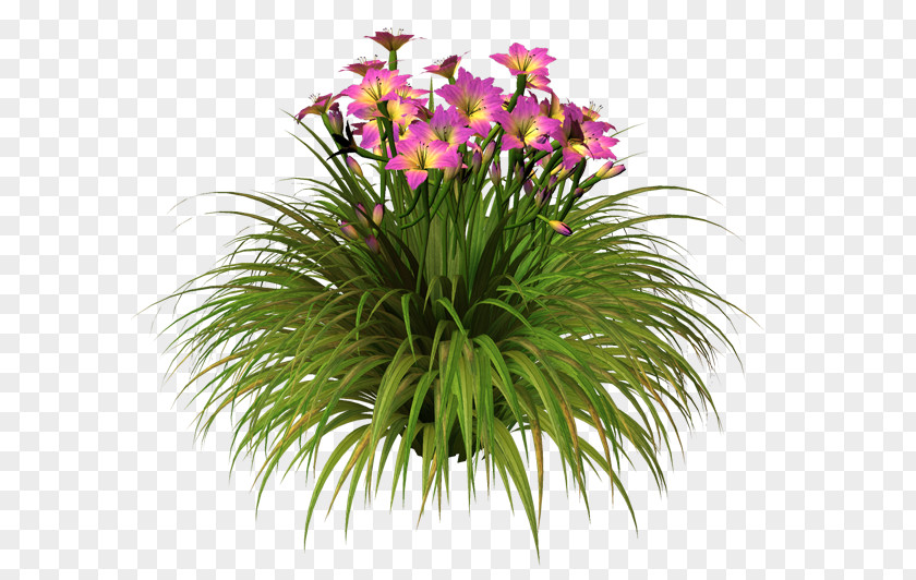 Design Floral Flowerpot Cut Flowers Grasses Houseplant PNG