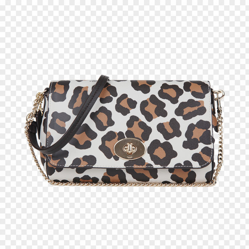 Fashion Leopard Pattern Painted Bag COACH Handbag Tapestry PNG