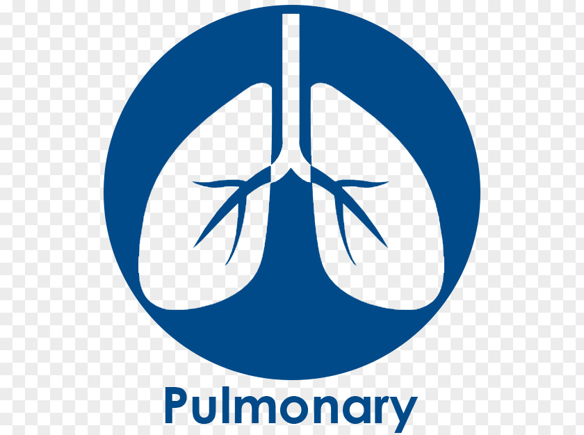 Lung Pulmonology Breathing Medicine Clinic PNG