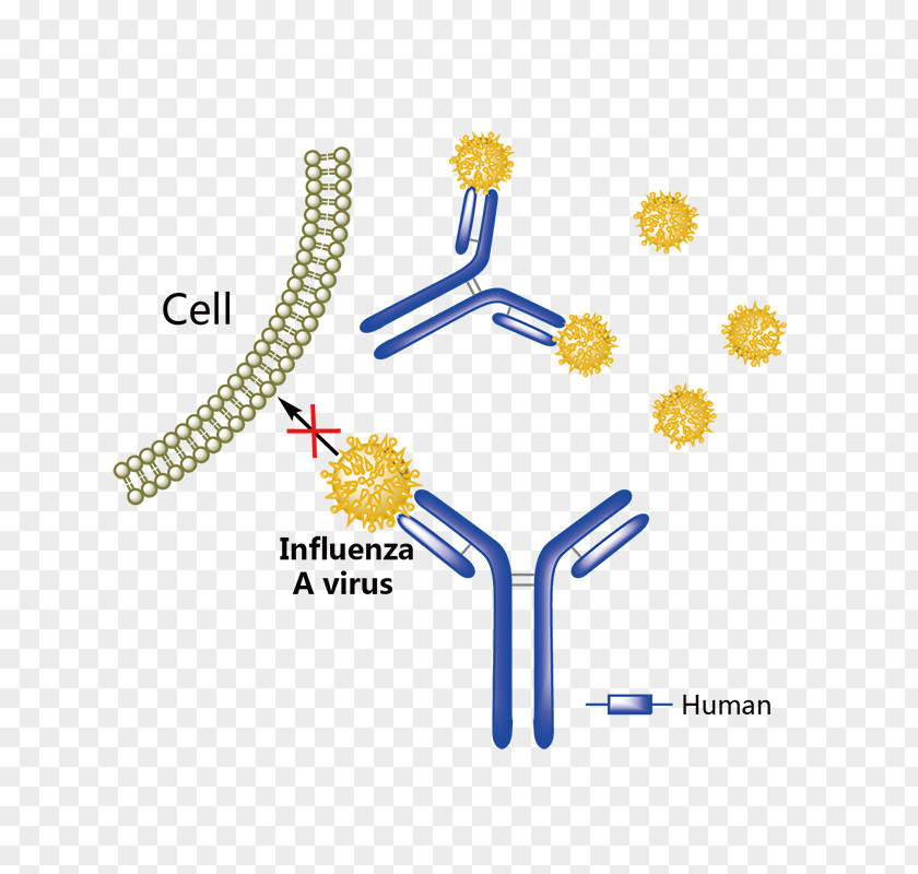 Sterilized Virus Antibody Adalimumab Tumor Necrosis Factor Alpha Superfamily TNF Inhibitor Pharmaceutical Drug PNG