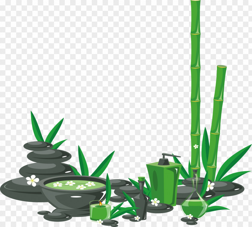 Vector Green Bamboo And Aloe Vera Gel Graphic Design Clip Art PNG
