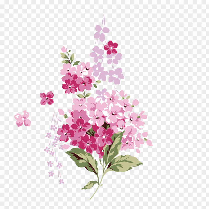Vector Pink Cherry Blossoms Flower Clip Art PNG