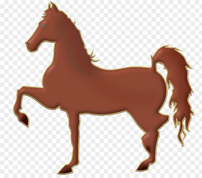 American Saddlebred Foal Equestrian Riding Horse PNG
