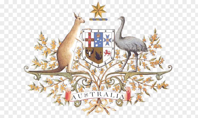 Australia Coat Of Arms National Symbols Floral Emblem PNG
