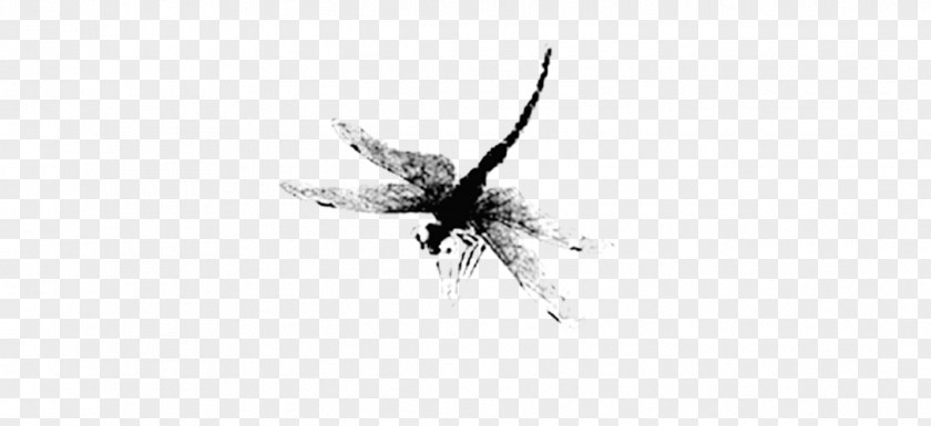 Dragonfly Ink White Graphic Design Black Pattern PNG