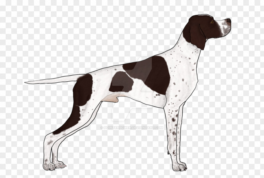 English Pointer Old Danish Auvergne Braque Saint-Germain German Shorthaired PNG