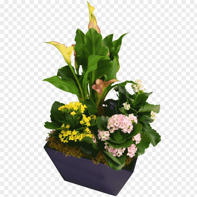 Flower Floral Design Cut Flowers Flowerpot Bouquet PNG