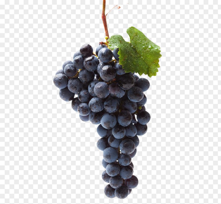 Grape Seed Extract Black Muscat Food Raisin Table PNG