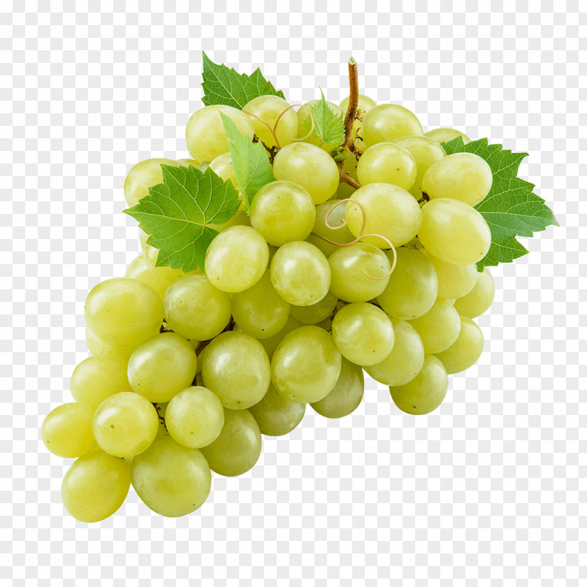 Grape Sultana Cardinal Verjuice Seedless Fruit PNG