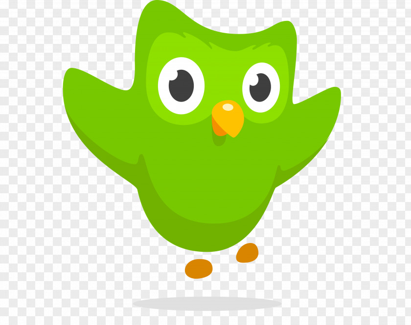 Helicopters Duolingo Owl Foreign Language Learning PNG