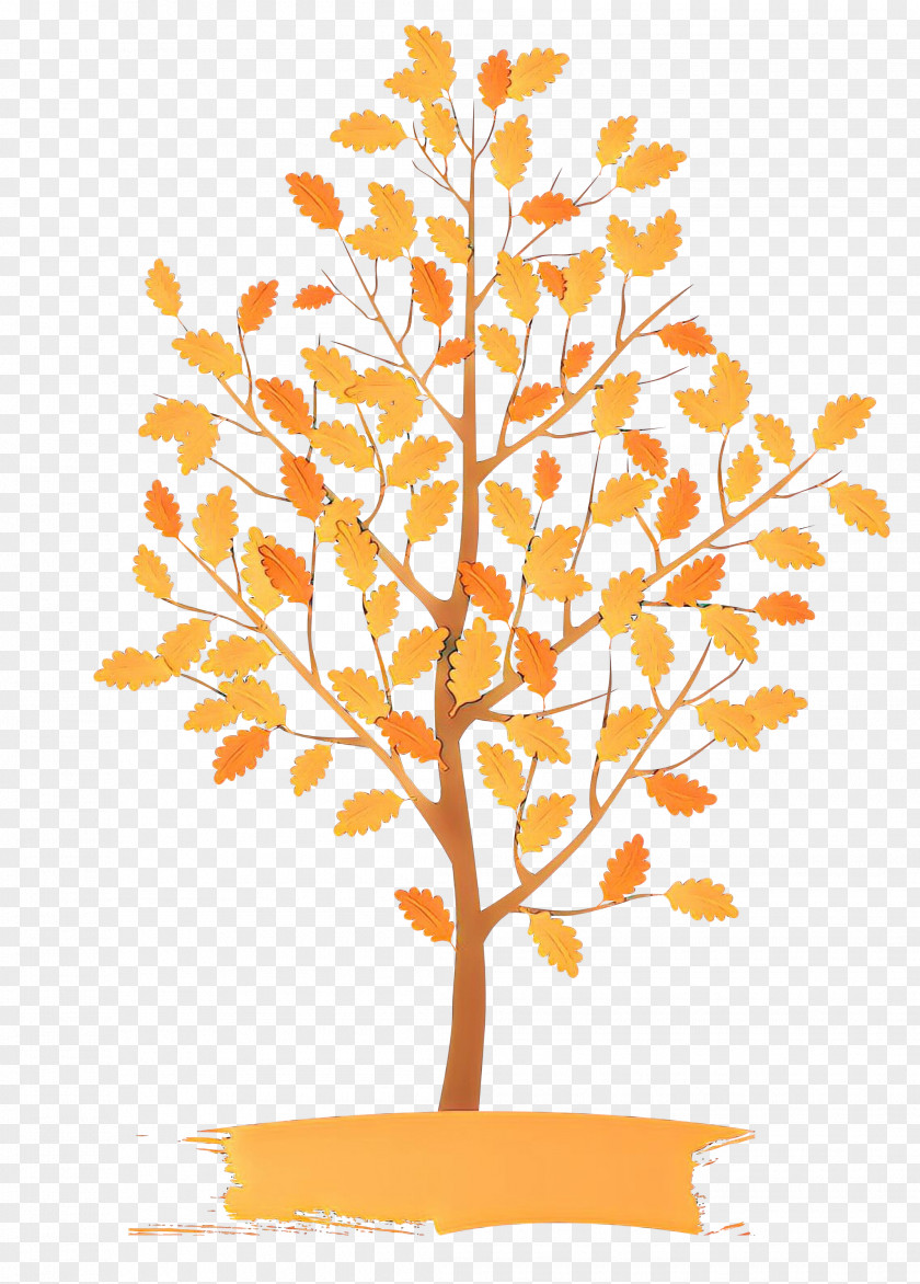 Orange PNG