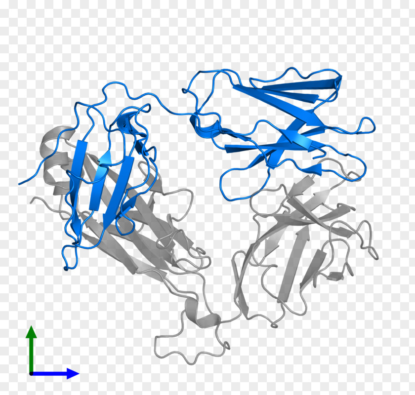 Tcr Carponents Drawing Line Art /m/02csf Clip PNG