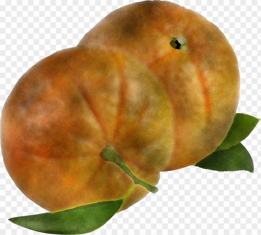 Vegetarian Cuisine Peach Citrus Apple PNG