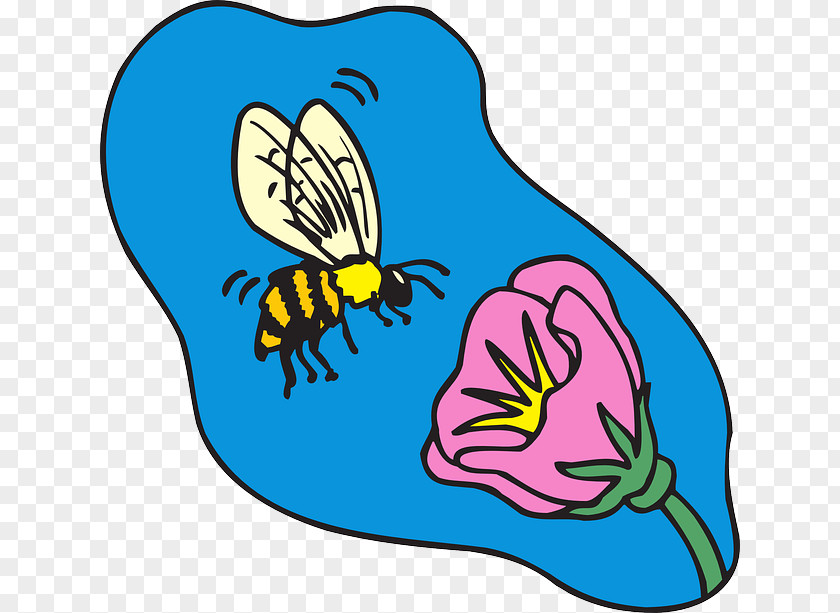 Cap Membranewinged Insect Butterfly Cartoon PNG