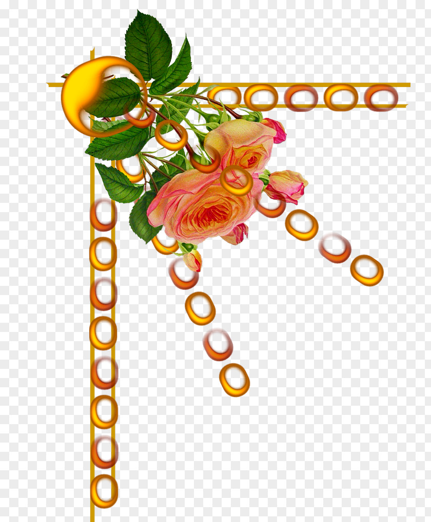 Design Floral Cut Flowers Plant Stem Clip Art PNG