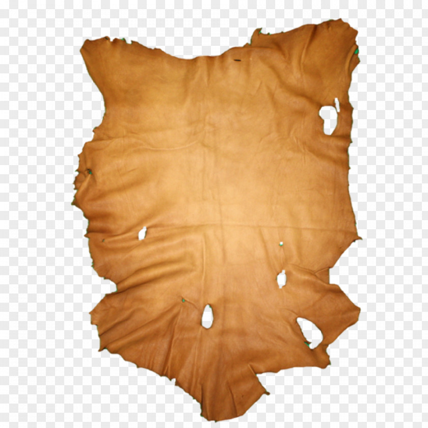 Leather Pattern Buckskin Cattle Hide Suede PNG