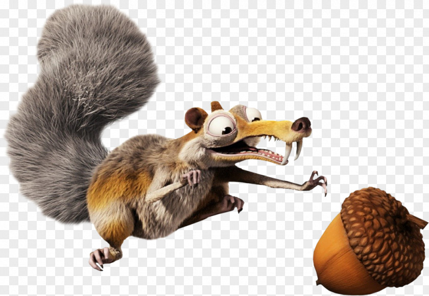 Squirrel Scratte Sid YouTube PNG