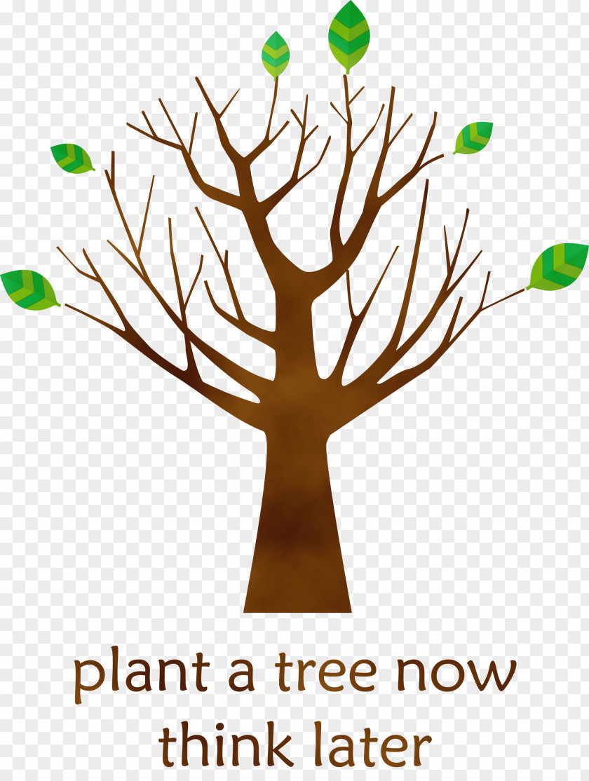 Tree Broad-leaved Leaf Notre-dame Du Chêne Academy For Ecologie Intégrale PNG