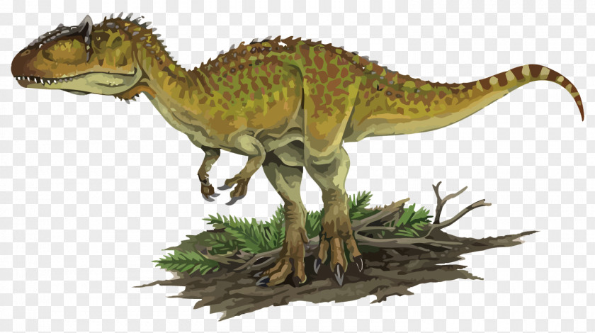 Vector Dinosaurs Carcharodontosaurus Kelmayisaurus Acrocanthosaurus Tyrannosaurus Giganotosaurus PNG