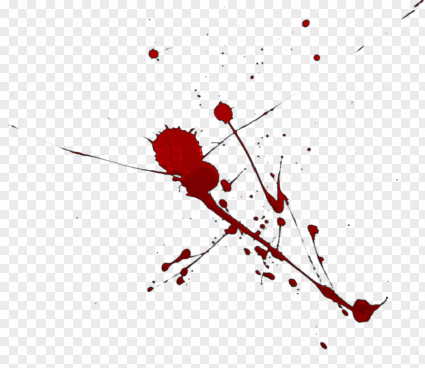 Blood Bloodstain Pattern Analysis Heart Desktop Wallpaper PNG