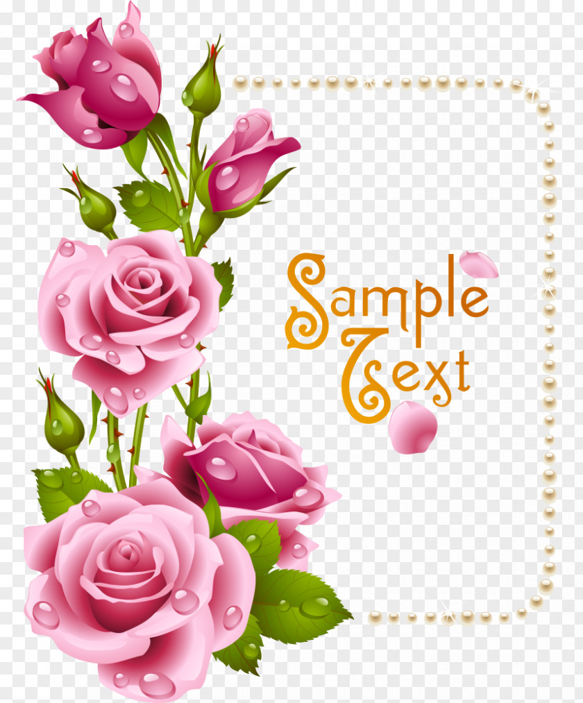 Pink Roses Rose Picture Frame Flower Clip Art PNG
