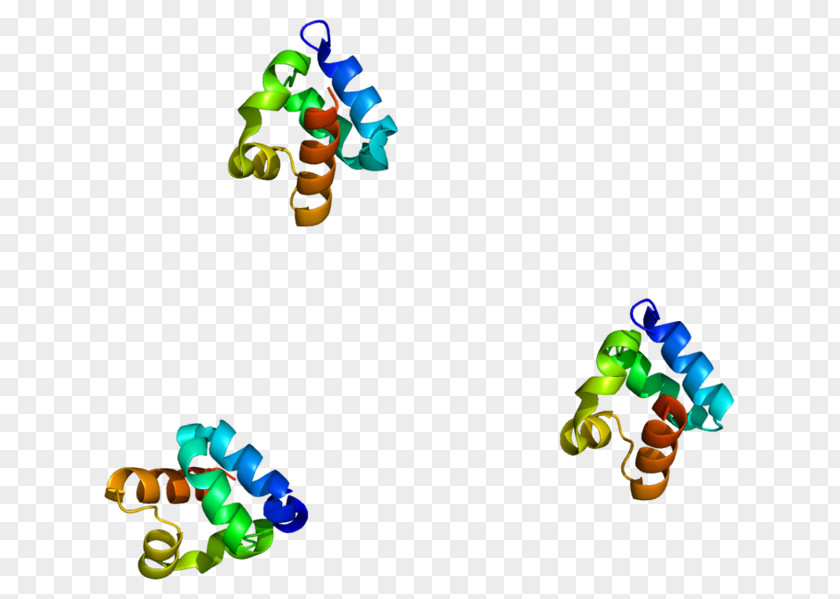 Shanks SHANK3 Protein Ankyrin Repeat Gene SH3 Domain PNG