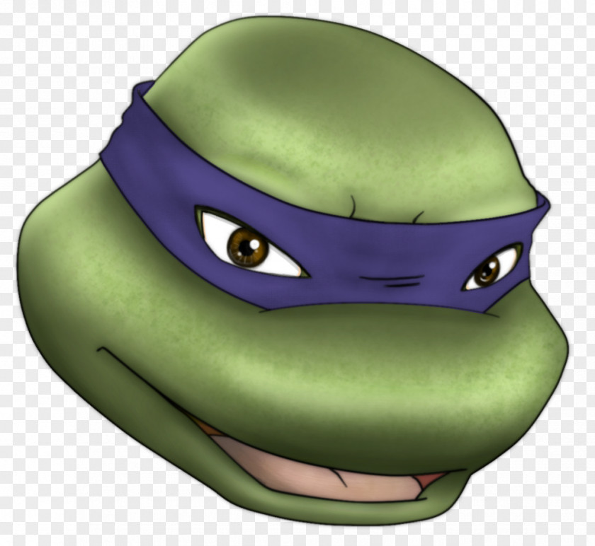 TMNT Donatello Leonardo Raphael Teenage Mutant Ninja Turtles PNG
