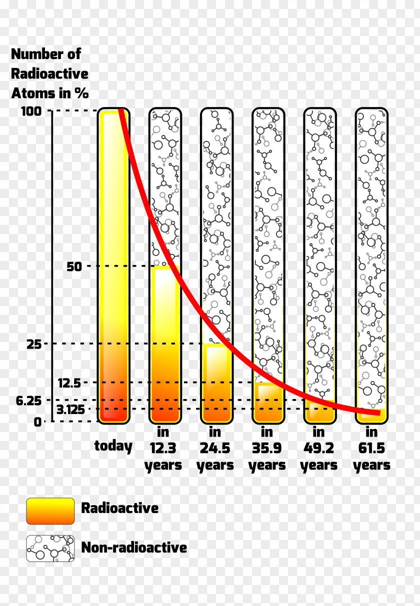 Warehouse Half-life Exponential Decay Function Radioactive Growth PNG