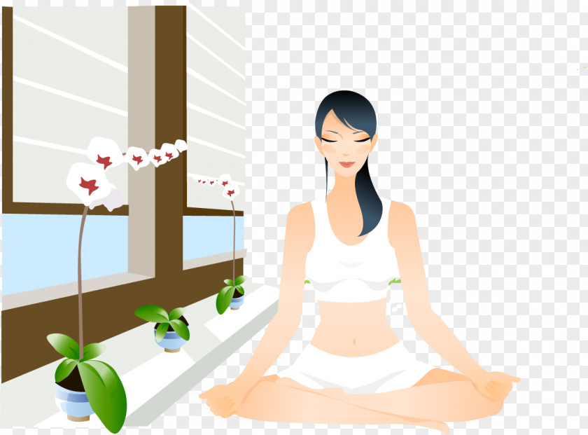 Windows Doing Yoga Beauty Vector Material Royalty-free Illustration PNG