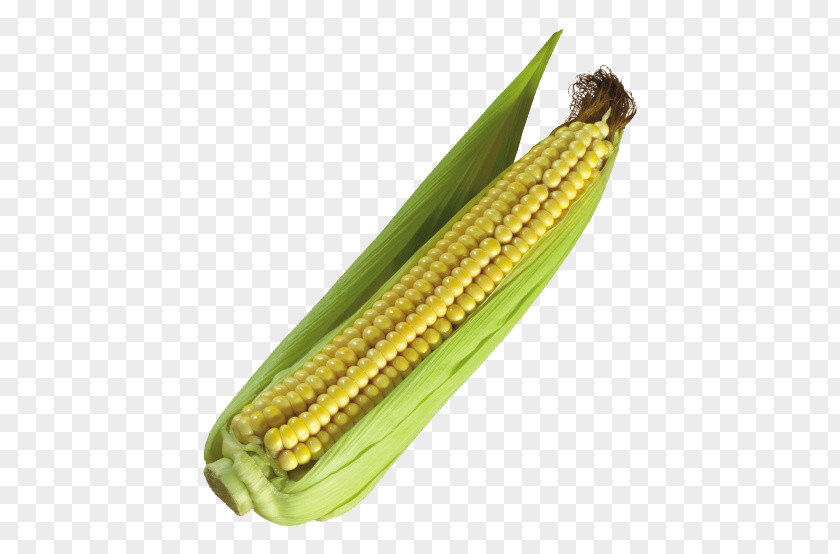 A Corn Maize Popcorn Vegetable Cereal PNG