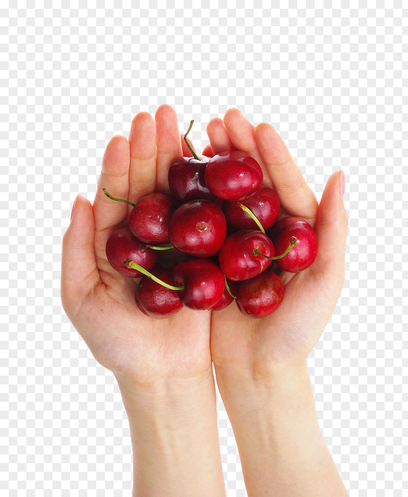 Cherry Frutti Di Bosco Food PNG