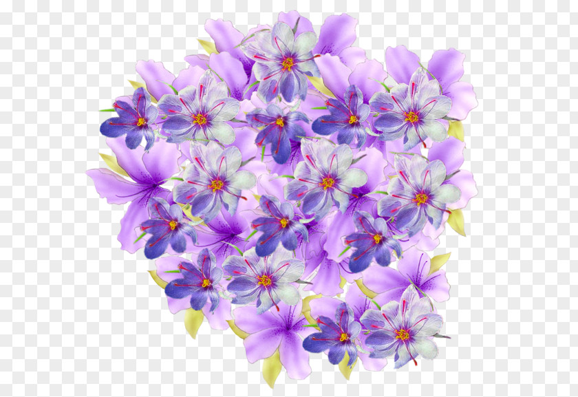 Flower Animation Floral Design Odnoklassniki PNG