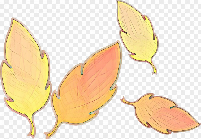 Herbaceous Plant Yellow Leaf PNG